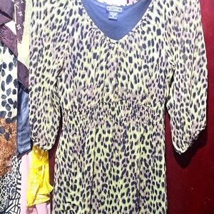 Leopard Print Dress